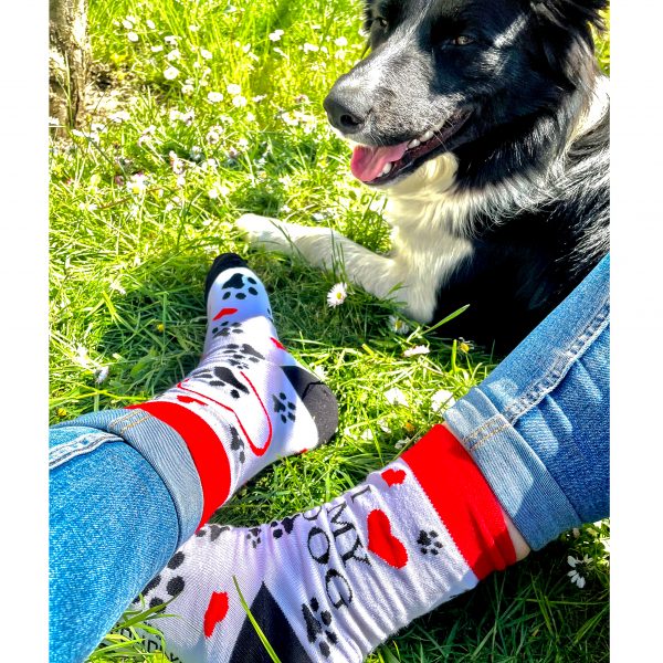 Veselé ponožky – I love my dog ( Veselé ponožky – I love my dog
