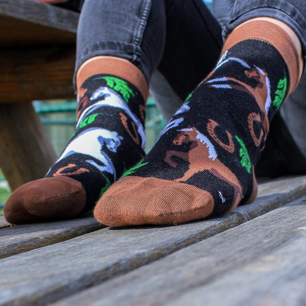 Veselé ponožky – Koně
