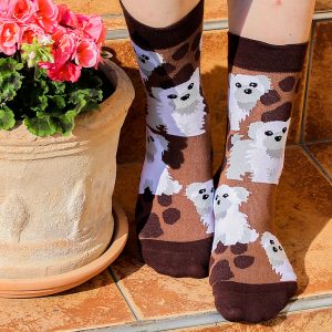 Veselé ponožky – Pejsek