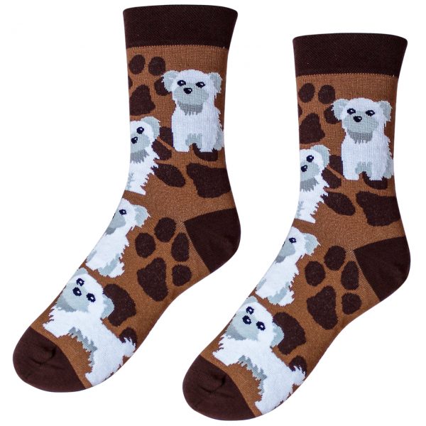 Veselé ponožky – Pejsek
