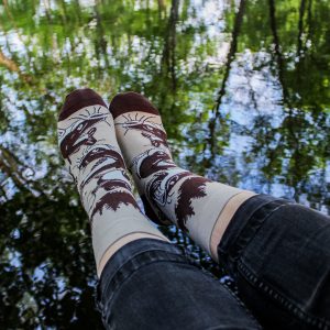 Veselé ponožky –Ryba