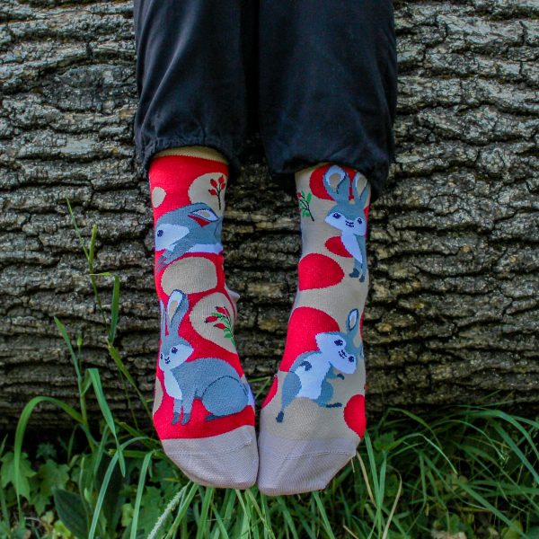 Veselé ponožky –Zajíc