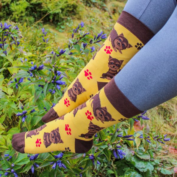 Veselé ponožky -Pes Yorkshire terier
