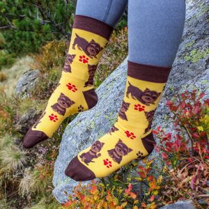 Veselé ponožky -Pes Yorkshire terier