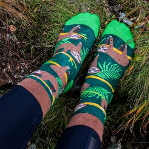 Veselé ponožky – Lenochod