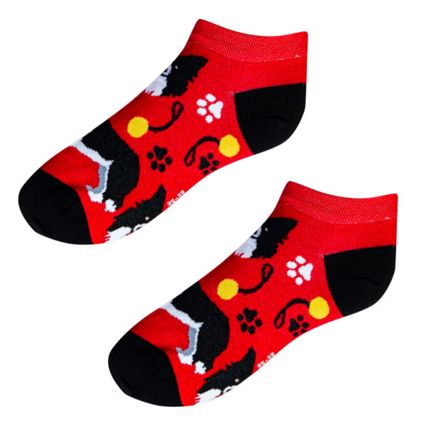 Veselé kotníkové ponožky – pes Border Kolie